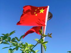 -贡湖湾湿地公园