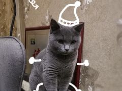 -吱咖啡西式简餐