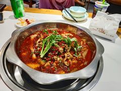 -川囧肥肠鸡·美蛙鱼锅(平高广场店)