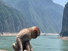 -白帝城·瞿塘峡景区