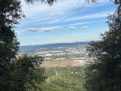 -铁山坪森林公园