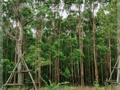 -露天矿生态公园