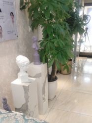 -紫洁俪方（北京）医疗美容