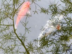 -柳侯公园