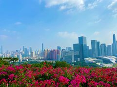 -大梅沙海滨公园