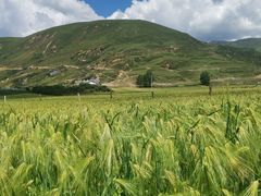 -墨石公园景区