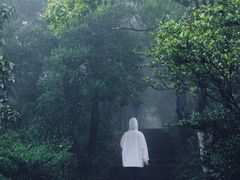 -梧桐山风景名胜区