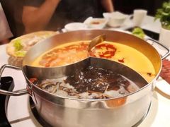 -舌尖记忆重庆火锅(悉尼店)
