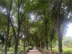 -洛阳市隋唐城遗址植物园