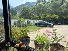 -遇见小院—虹鳟鱼•农家菜(怀柔店)