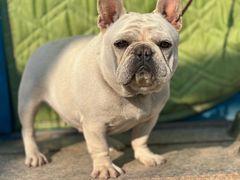 -姥家大锅台水库渔家