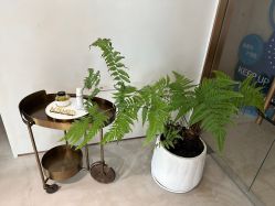-时光海科学美肤中心