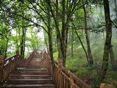 -陕西省红河谷森林公园