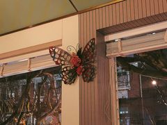 -蝶舍·MAISON PAPILLON