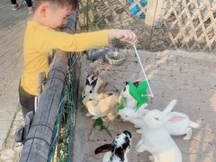 -太阳岛度假酒店