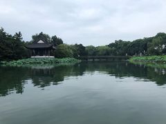 -西湖游船