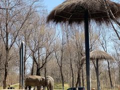 -北京野生动物园