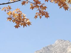 -百里山水画廊