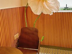 -the coffee_得咖啡(中英街店)