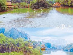 -广州长隆野生动物世界