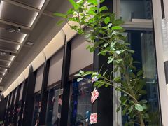 -谭厨中山传家菜.乳鸽.脆鲩鱼(华强北中航城店)