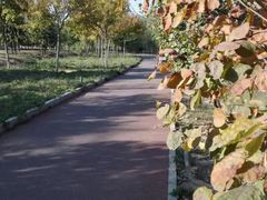 -莲花池公园