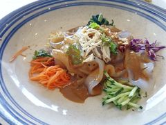 五彩鸡丝大拉皮-天和晟烤鸭店(玉泉西街店)