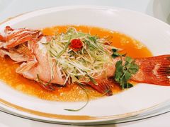 -金轩中餐厅 Jin Xuan(浦东丽思卡尔顿酒店)