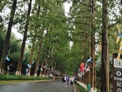 -黄海国家森林公园