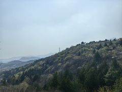 -白水寺森林公园