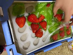 -果蔬好(江南赋店)