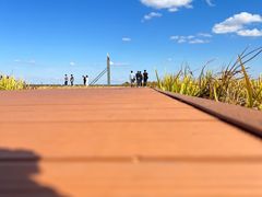 -黑龙江扎龙生态旅游区