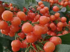 -海底捞火锅(龙湖三千集店)