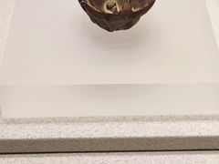 -银雀山汉墓竹简博物馆