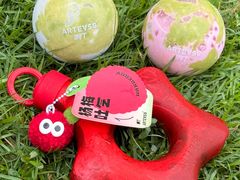 -ARTEASG啊T·新加坡奶茶(时尚天河店)