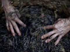 -大益茶庭(勐海会员中心店)