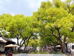 -惠山古镇·寄畅园