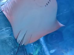 -沈阳海洋探索中心