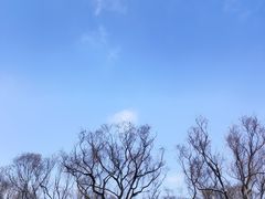 -宝泉胜境旅游度假区
