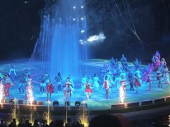 -灵玲国际马戏城