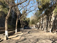 -山东师范大学(千佛山校区)