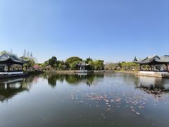 -无锡蠡湖国家湿地公园-蠡园