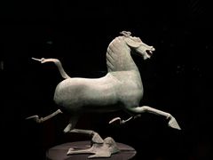 -甘肃省博物馆