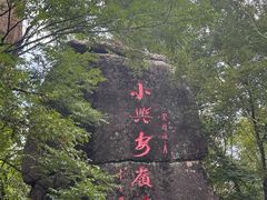 -汤旺河林海奇石景区