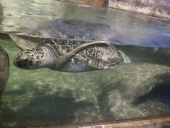 -厦门海底世界