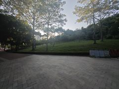 -玉树公园