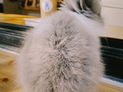 -小意思咖啡店(草桥店)
