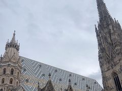 -斯蒂芬主教座堂(Stephansdom)