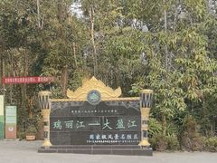 -莫里热带雨林景区