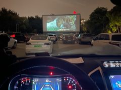 -枫花园汽车电影院(朝阳公园店)